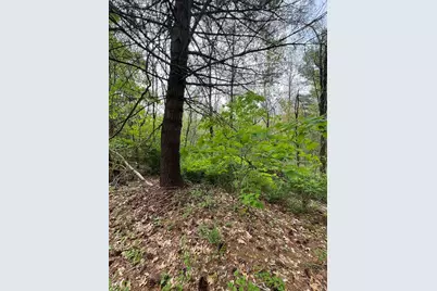 Lots 39-42 Lawrence, Palmer, MA 01069 - Photo 5