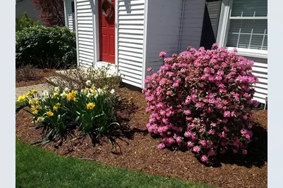 55 Lake Shore Drive, Westwood, MA 02090 - Photo 31