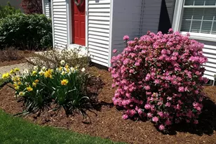 55 Lakeshore Dr, Westwood, MA 02090 - Photo 31