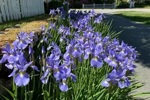 52 Salem St, Andover, MA 01810 - Photo 39