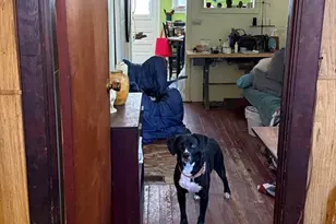 13 Maple Ave, Erving, MA 01344 - Photo 11