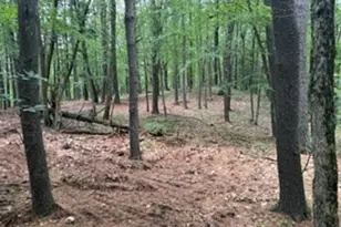 Lot B Willow Rd, Boxford, MA 01921 - Photo 1