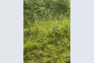 33 Walsh Ave, Auburn, MA 01501 - Photo 3