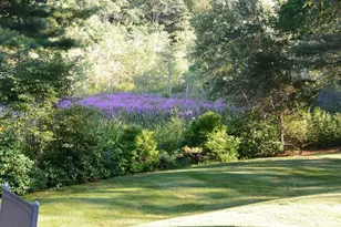 46 Black Burnian Rd, Weston, MA 02493 - Photo 7