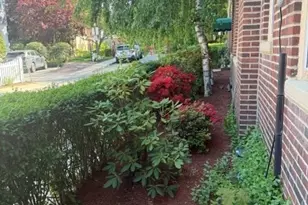 15 Colliston Rd, Boston, MA 02135 - Photo 13
