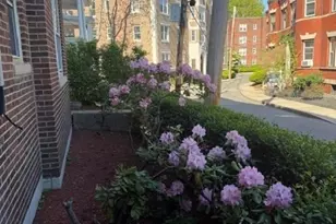 15 Colliston Rd, Boston, MA 02135 - Photo 13
