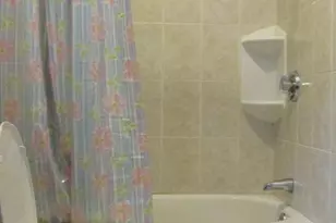 19 Rockwell St, Boston, MA 02124 - Photo 7