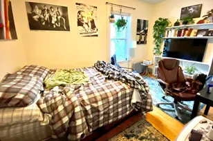 3 Oswald St, Boston, MA 02120 - Photo 11