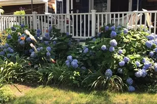 168 Ninigret Ave, Mashpee, MA 02649 - Photo 29