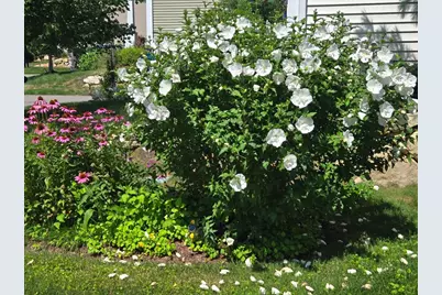 18 Kensington, Plymouth, MA 02360 - Photo 25