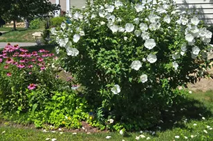 18 Kensington, Plymouth, MA 02360 - Photo 25