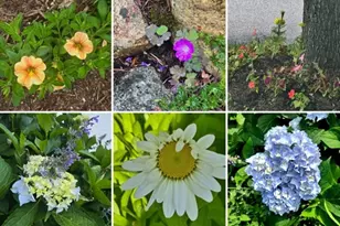 18 Kensington, Plymouth, MA 02360 - Photo 27