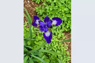 18 Kensington, Plymouth, MA 02360 - Photo 27