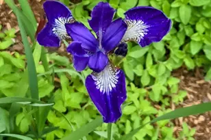 18 Kensington, Plymouth, MA 02360 - Photo 27