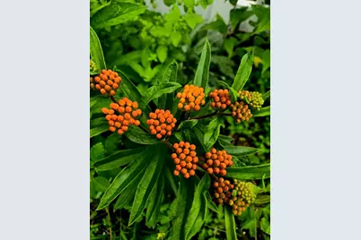 18 Kensington, Plymouth, MA 02360 - Photo 31