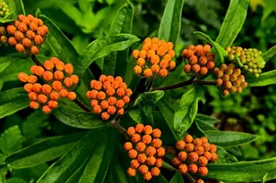 18 Kensington, Plymouth, MA 02360 - Photo 31