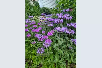 18 Kensington, Plymouth, MA 02360 - Photo 29