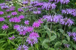 18 Kensington, Plymouth, MA 02360 - Photo 29