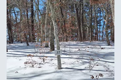 37 Oak Valley Rd, Wellfleet, MA 02667 - Photo 1