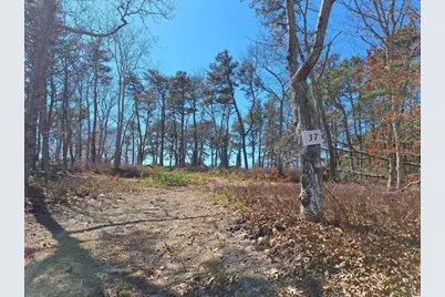37 Oak Valley Rd, Wellfleet, MA 02667 - Photo 11
