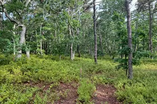 37 Oak Valley Rd, Wellfleet, MA 02667 - Photo 1