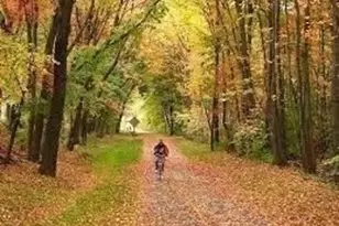 30 View Ave, Northampton, MA 01060 - Photo 9