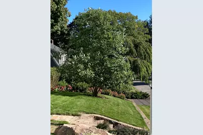 15 Clifton Rd, Wellesley, MA 02481 - Photo 27