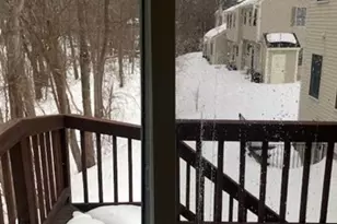 304 Manor Ter, Lexington, MA 02420 - Photo 23