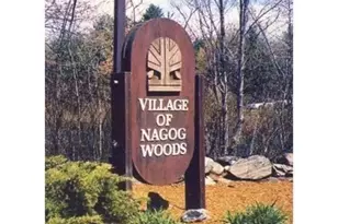 532 Old Stone Brook, Acton, MA 01718 - Photo 19