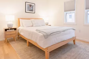 5 Davis Ave, Brookline, MA 02445 - Photo 19