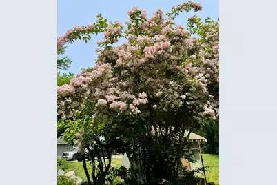 67 Lowell St, Lexington, MA 02420 - Photo 37