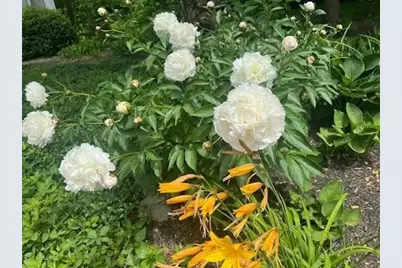 7 Bassett Brook Ln, Duxbury, MA 02332 - Photo 29