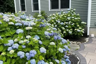 177 Bay Colony Dr, Westwood, MA 02090 - Photo 39