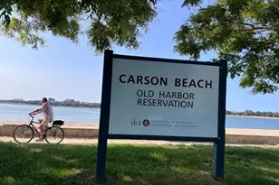 33 Ward St, Boston, MA 02127 - Photo 17