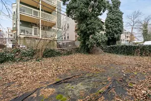 12 Thelma Rd, Boston, MA 02122 - Photo 33