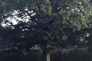 51 Park Dr, Boston, MA 02215 - Photo 15