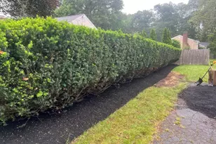 50 Kittredge Rd, Framingham, MA 01702 - Photo 3