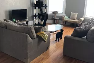 23 Stoneland Rd, Worcester, MA 01603 - Photo 3