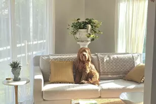 16 Bosun's Ln, Mashpee, MA 02649 - Photo 13