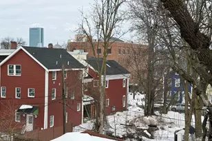 102 Mt Pleasant Ave, Boston, MA 02119 - Photo 17