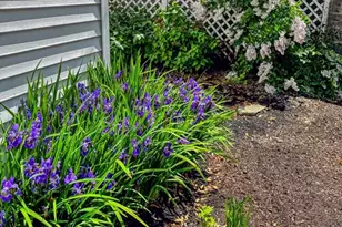 1 Shore Ave, Salem, MA 01970 - Photo 41