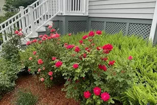 77 Lynde St, Melrose, MA 02176 - Photo 29