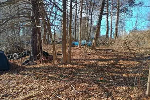 9 Olive St, Ashland, MA 01721 - Photo 29