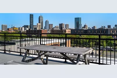 10 Williams Street #23, Boston, MA 02119 - Photo 11