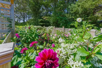 246 Stage Island, Chatham, MA 02633 - Photo 37