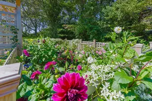 246 Stage Island, Chatham, MA 02633 - Photo 37