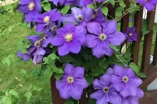 76 Business St, Boston, MA 02136 - Photo 25