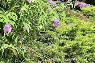 76 Business St, Boston, MA 02136 - Photo 23