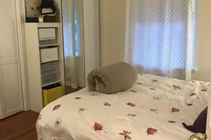 31 Linden Pl, Brookline, MA 02445 - Photo 21