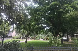 31 Linden Pl, Brookline, MA 02445 - Photo 23